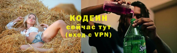 соль ск Дмитров