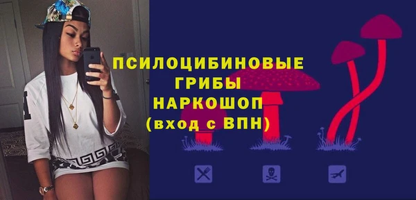 а пвп мука Гусиноозёрск