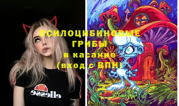 а пвп мука Гусиноозёрск